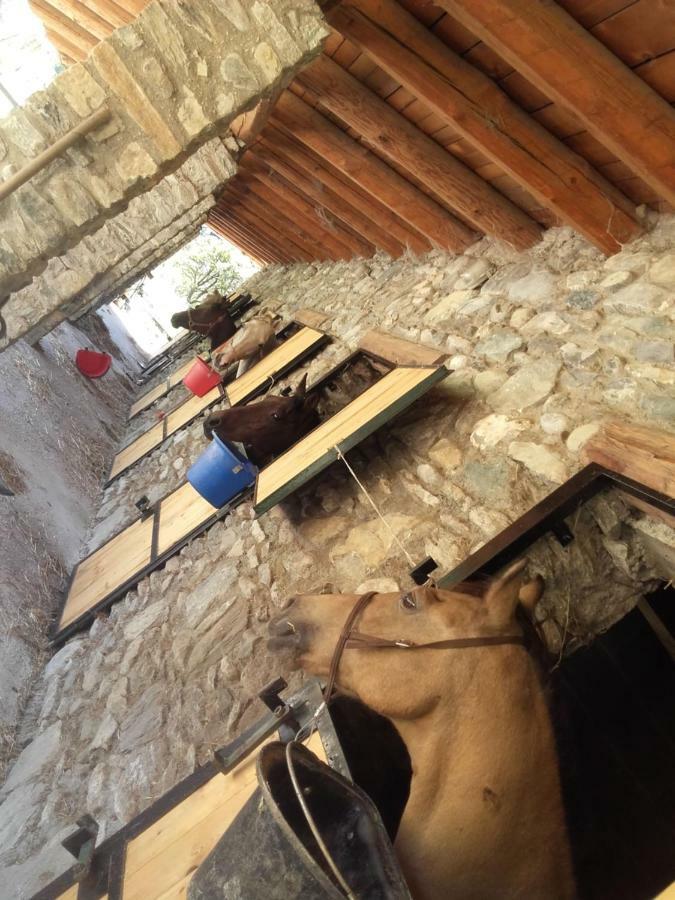Al Pra Di Muriet Vakantieboerderij